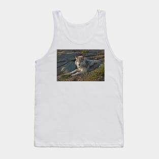 Timber Wolf Tank Top